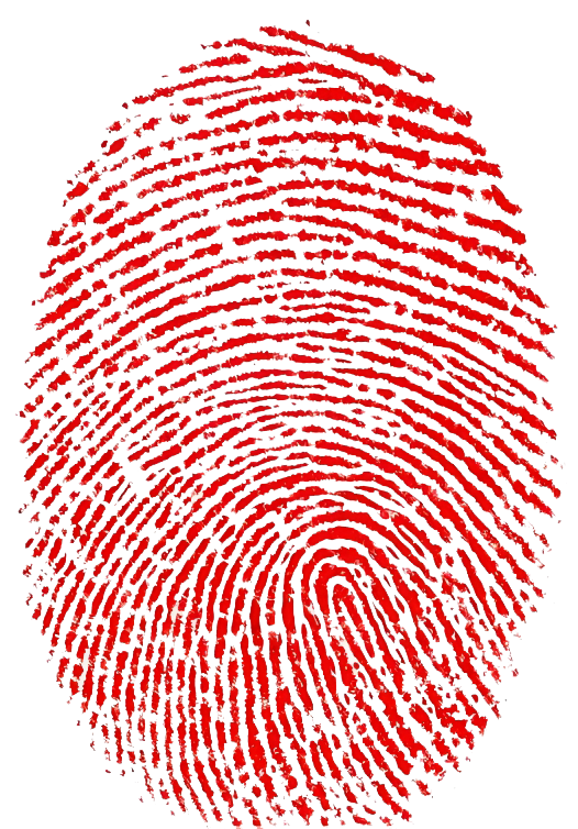 虎与羊的永恒之爱 - 我们已相识261天